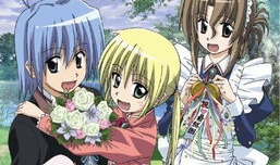 sp动漫,穿越时空的冒险之旅